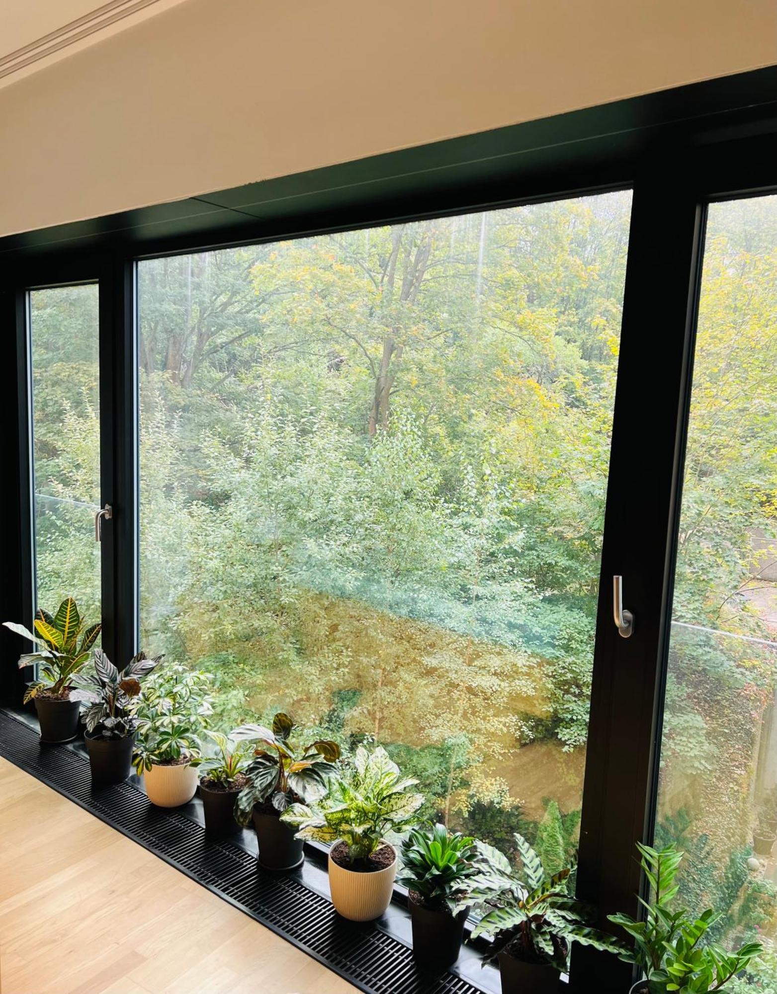 Artflora Kv Premium *