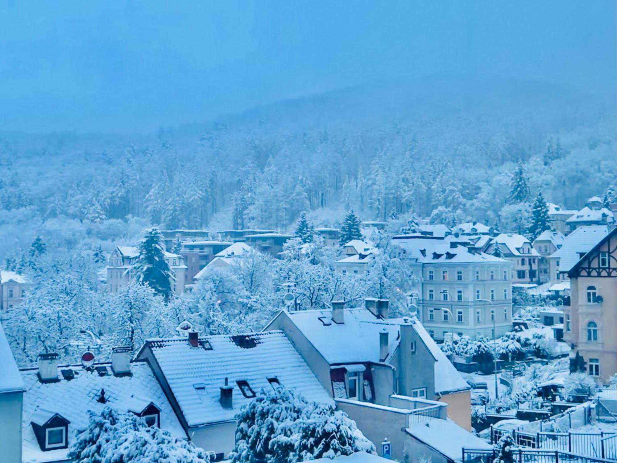 Artflora Kv Premium Karlovy Vary