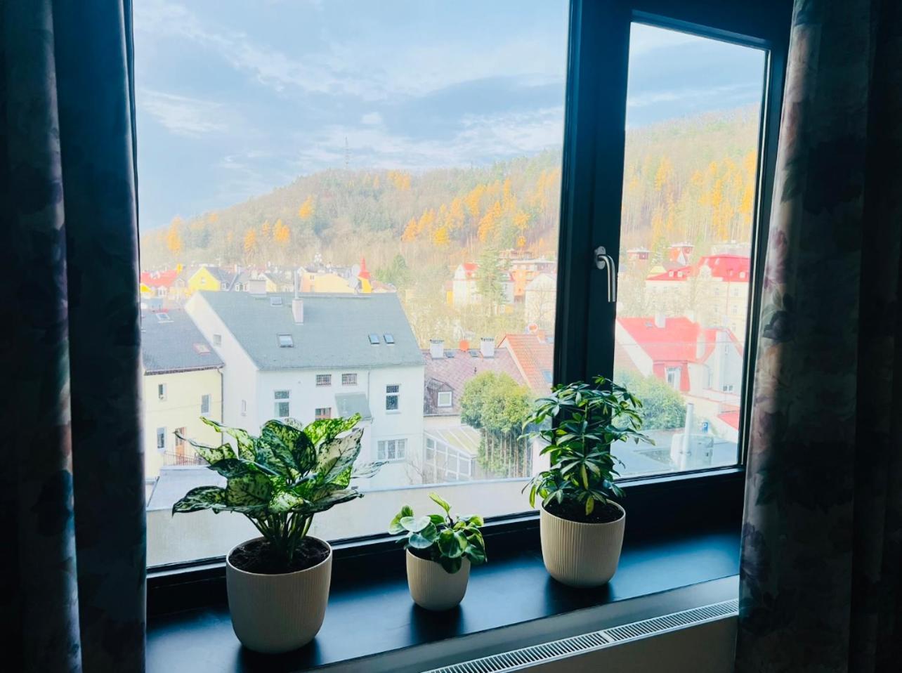 Artflora Kv Premium *