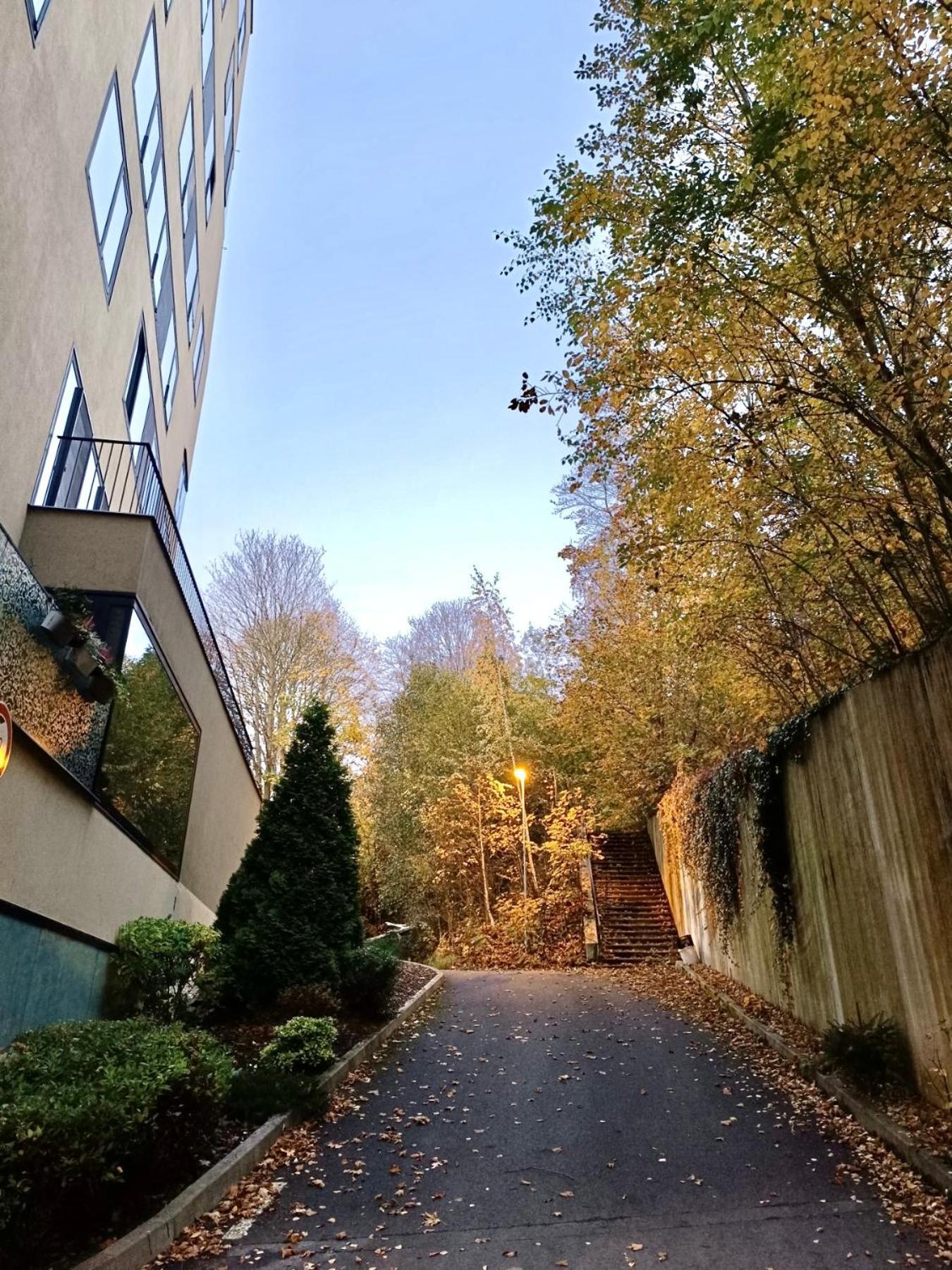 Artflora Kv Premium * Karlovy Vary